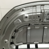 Капот на Exeed TXL M32T 2020>