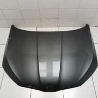Капот на Skoda Rapid 2 2020>