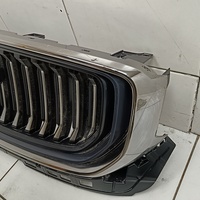 Решетка радиатора на Geely Monjaro 2021>