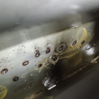 Дверь багажника на Belgee X70 2024> / Geely Atlas Pro 2019>