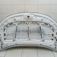 Капот на Belgee X50 2019> / Geely Coolray 2019>