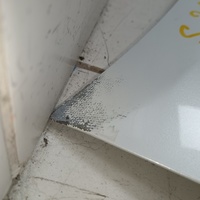 Капот на Toyota Camry V70 2017>