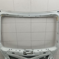 Дверь багажника на Skoda Octavia (A7) 2013-2020