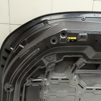 Капот на Exeed LX T1C 2019>