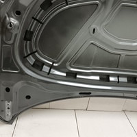 Капот на Skoda Rapid 2 2020>