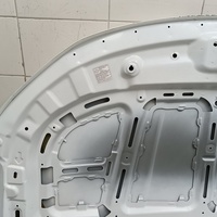 Капот на Belgee X50 2019> / Geely Coolray 2019>