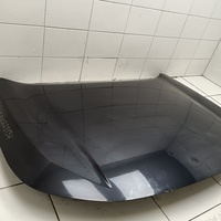 Капот на Exeed LX T1C 2019>