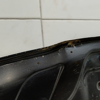 Капот на Kia K5 2020>