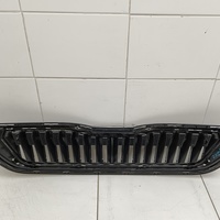 Решетка радиатора на Skoda Rapid 2 2020>