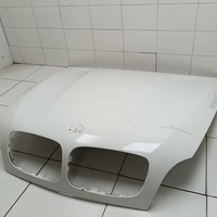 Капот на BMW X5 E70 2007-2013 / BMW X6 E71 2008-2014