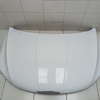 Капот на Belgee X50 2019> / Geely Coolray 2019>