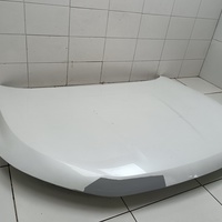 Капот на Haval Jolion 2021>