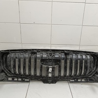 Решетка радиатора на Geely Monjaro 2021>