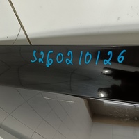 Капот на Hyundai Santa Fe 4 TM 2018-2025