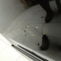 Дверь задняя правая на Haval Jolion 2021>