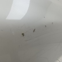 Дверь задняя правая на BMW 6-серия Gran Turismo IV (G32) 2017>