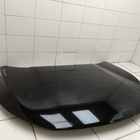 Капот на Exeed TXL M32T 2020>