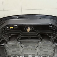 Капот на Exeed LX T1C 2019>