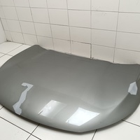Капот на Exeed TXL M32T 2020>