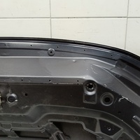 Капот на Exeed LX T1C 2019>