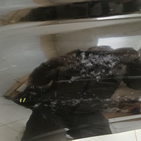 Крыло переднее левое на Haval H5 2023>