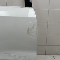 Дверь задняя правая на Exeed LX T1C 2019>