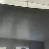 Капот на Exeed LX T1C 2019>