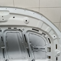 Капот на Belgee X50 2019> / Geely Coolray 2019>