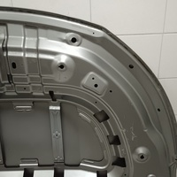 Капот на Exeed TXL M32T 2020>