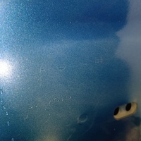 Дверь багажника на Skoda Kodiaq 2017>