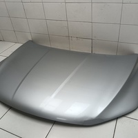 Капот на Belgee X50 2019> / Geely Coolray 2019>