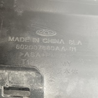 Накладка бампера переднего на Omoda C5 2021>