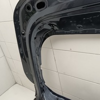 Дверь багажника на BMW X5 G05 2018>