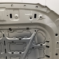 Капот на Tank 500 2022>