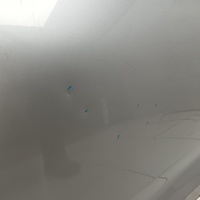 Дверь передняя левая на Audi A5 S5 F5 2017>