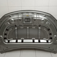 Капот на Exeed TXL M32T 2020>