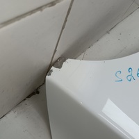 Капот на Belgee X50 2019> / Geely Coolray 2019>