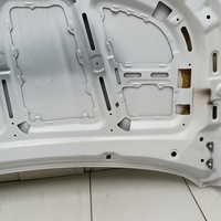 Капот на Belgee X50 2019> / Geely Coolray 2019>