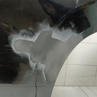 Дверь задняя левая на Exeed VX M36T 2021>