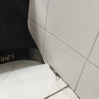 Бампер задний на VW Polo (Sed RUS) 2020>