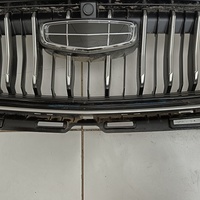 Решетка радиатора на Geely Emgrand 2021>