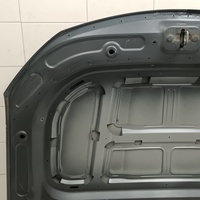 Капот на Geely Tugella 2020>
