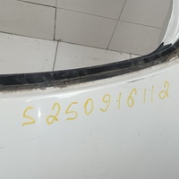 Дверь багажника на Skoda Octavia (A7) 2013-2020