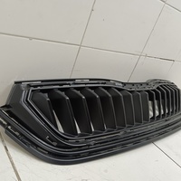 Решетка радиатора на Skoda Rapid 2 2020>