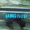 Дверь передняя левая на Audi A8 [D3,4E] 2004-2010