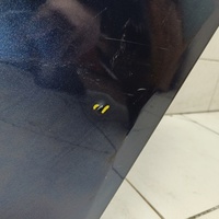 Дверь задняя левая на VW Polo (RUS) 2020> / Skoda Rapid 2 2020> / Skoda Rapid 1 2013-2020