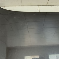 Капот на Exeed LX T1C 2019>