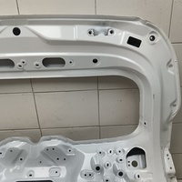 Дверь багажника на Haval Jolion 2021>
