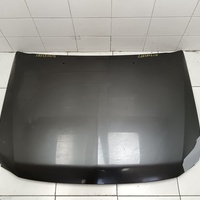 Капот на Mitsubishi Pajero / Montero 4 (V8, V9) 2007>