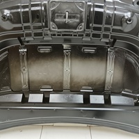 Капот на Exeed TXL M32T 2020>